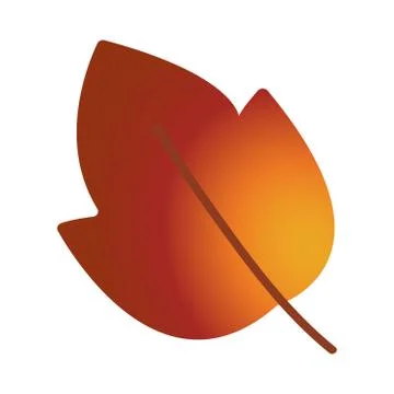 Autumn leaf. Autumn maple leaf isolated on a white background. Stock Illustration