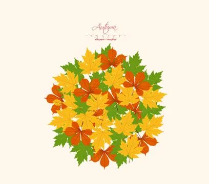 Autumn leaf background Stock Illustration