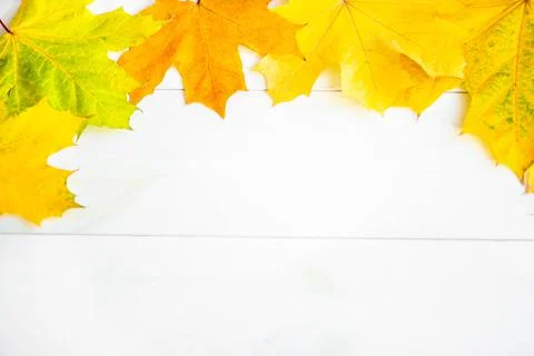 Autumn Leaf Background Stock Photos