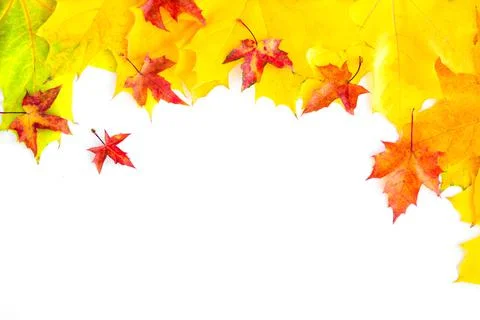 Autumn Leaf Background. Stock Photos