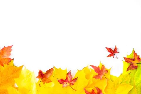 Autumn Leaf Background. Stock Photos