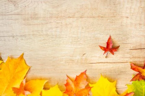 Autumn Leaf Background Foto stock