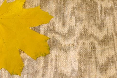 Autumn leaf background on textile texture Stock Photos