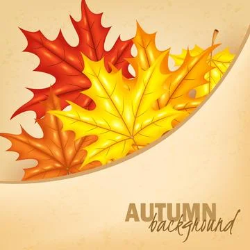Autumn Leaf Background, Vector Illustration Ilustración de archivo