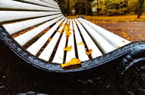 Autumn leaf on the bench Stock Photos