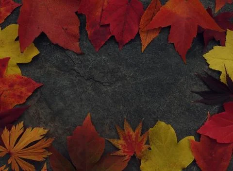 Autumn leaf border frame Stock Photos