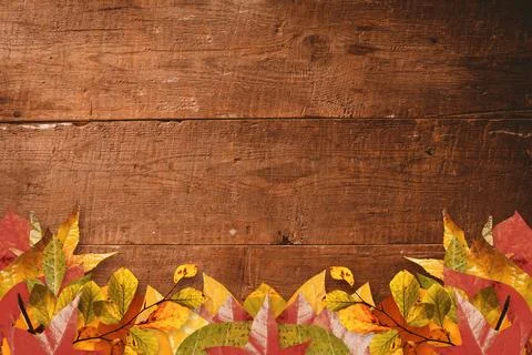 Autumn leaf border is overlaying rustic wooden plank background, using flat Fotos de archivo