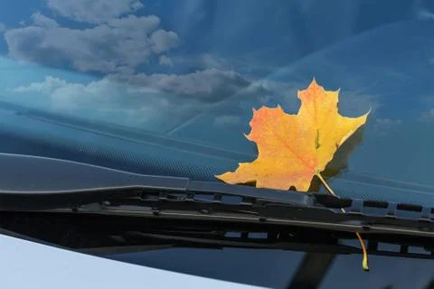 Autumn leaf on a car windshield Stock Photos