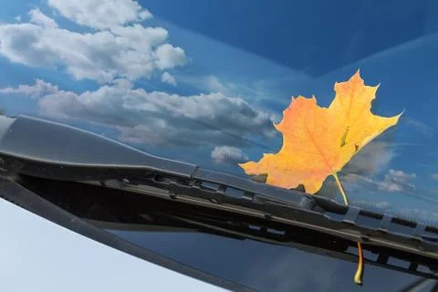 Autumn leaf on a car windshield Stock Photos