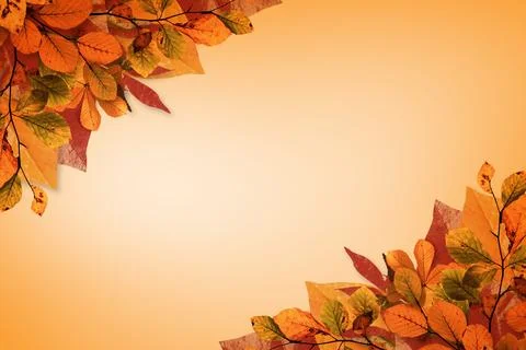 Autumn leaf clusters are framing flat design with veins and branches on orange Stock Illustration