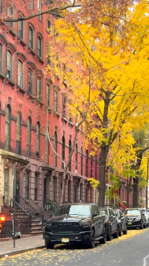 Autumn leaf colors ginkgo trees stand on the street at East Village in NYC Vídeos de archivo 340402829