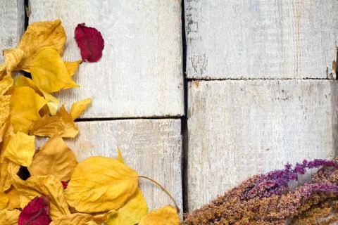 Autumn leaf composition with picture frame. Copy space. Foto stock