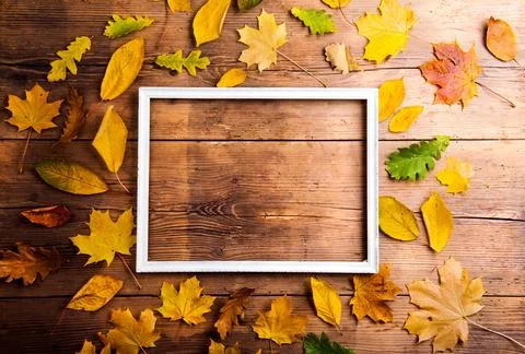 Autumn leaf composition with picture frame. Studio shot on wooden background. Stock Photos