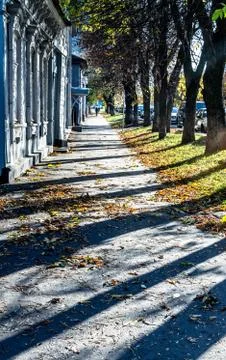 Autumn Leaf Covered Path in Colour Stock Photos