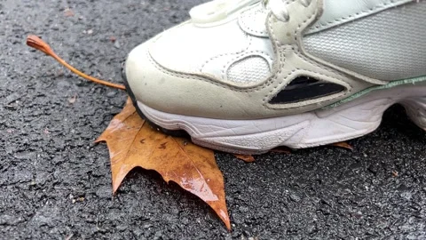 Autumn leaf is crushed by foot Stock-Footage 228724203