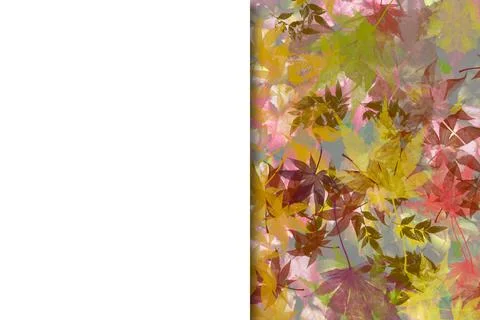 Autumn leaf design Illustrazione stock