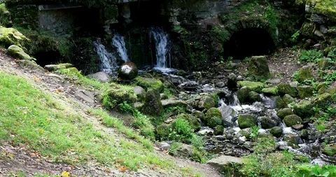 Autumn leaf fall, ancient waterfall, Museum - reserve Pavlovsk, Russia Stock Footage 88801631