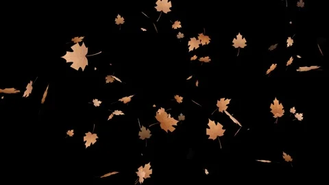 Autumn Leaf fall animation. animated maple leaves falling with different leaves Stock Footage 320593897