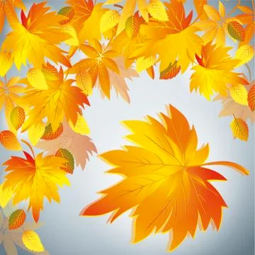 Autumn leaf fall background with yellow leaf - place for text Illustrazione stock