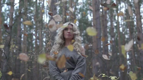 Autumn leaf fall Stock Footage 49019808