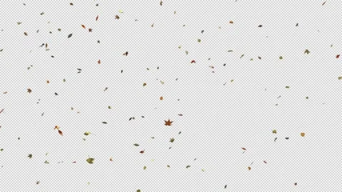 Autumn Leaf Fall. Stock Footage 237196506