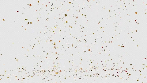 Autumn Leaf Fall. 스톡 동영상 243433547