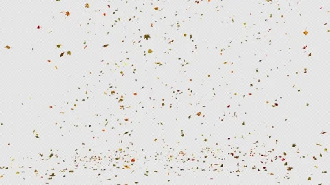 Autumn Leaf Fall. Stock Footage 243438597