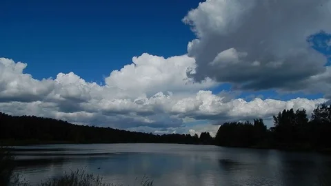 Autumn leaf fall on the lake Stock Footage 81253987