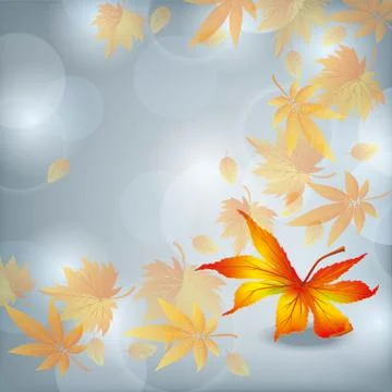 Autumn leaf fall, nature background Illustrazione stock