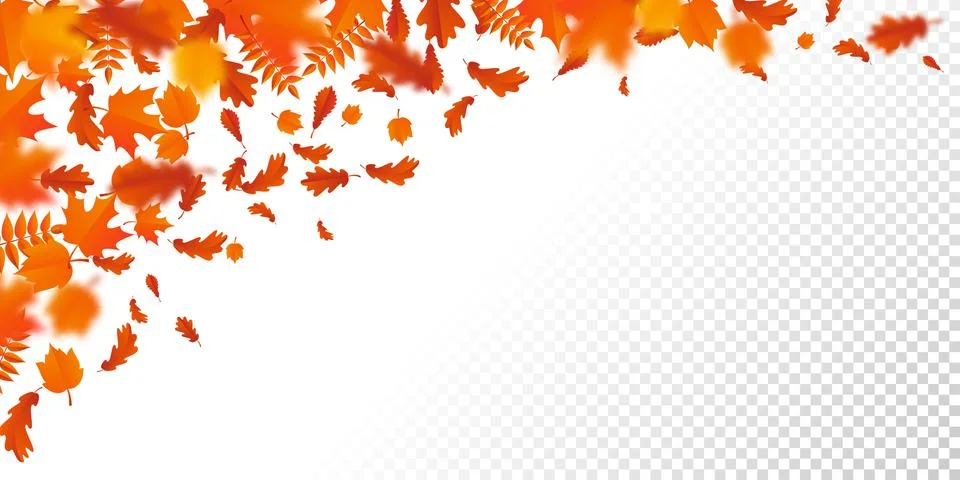 Autumn leaf fall pattern autumanl falling leaves on vector transparent backgr Stock Illustration
