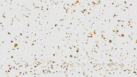 Autumn Leaf Fall, Seamless loop. Video stock 346822431