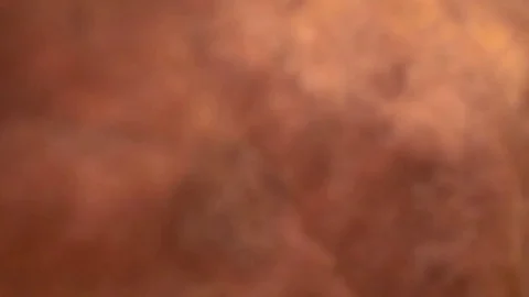 Autumn Leaf Fall Slow Motion 4K Stock Footage 82346154