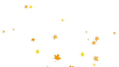 Autumn leaf fall white Video stock 157862083