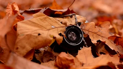 Autumn leaf falls on the old camera Video stock 43127981