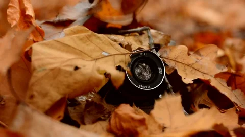 Autumn leaf falls on the old camera Video stock 43127986