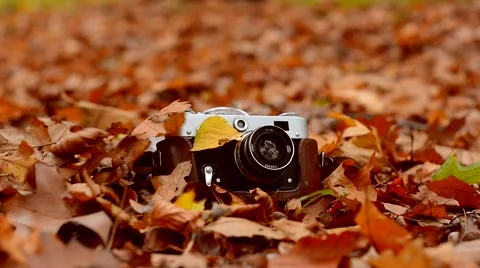 Autumn leaf falls on the old camera Stock Footage 43127988