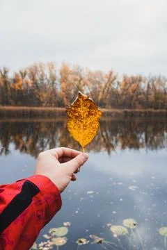 Autumn leaf in the fingers Stockfoto's