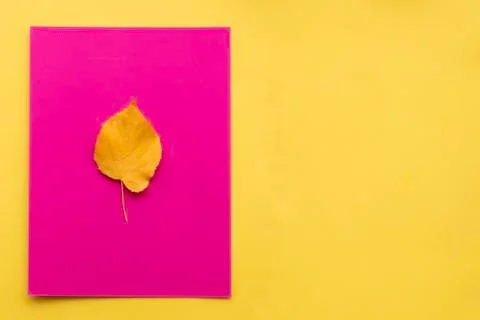 Autumn leaf flat lay composition. Yellow leaf on colorful paper background. T Stock-Fotos