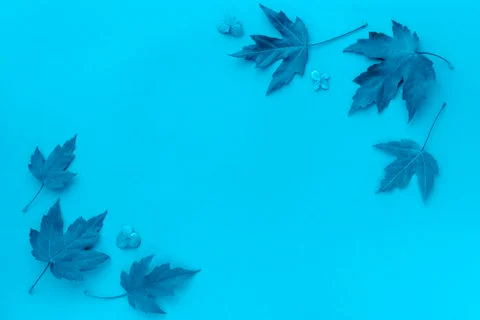 Autumn leaf flat lay composition. Trendy color of the year 2020. Autumn conce Stock Photos