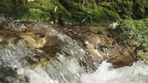 Autumn leaf floating down water stream 06 Stock Footage