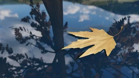 Autumn leaf floating on the water Stock Illustration