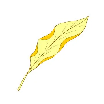 Autumn leaf fly in the wind. Tree leaf. Vector Stock Illustration