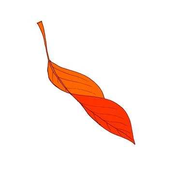 Autumn leaf fly in the wind. Tree leaf. Vector Stock Illustration