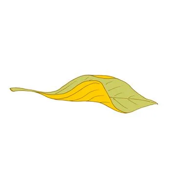 Autumn leaf fly in the wind. Tree leaf. Vector Stock Illustration
