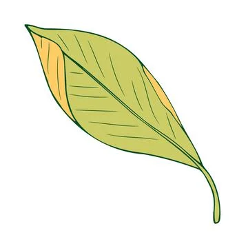 Autumn leaf fly in the wind. Tree leaf. Vector Stock Illustration