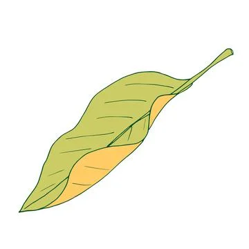 Autumn leaf fly in the wind. Tree leaf. Vector Stock Illustration