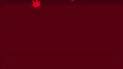 Autumn leaf Stock Footage 42607697