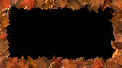 Autumn Leaf Frame with Matte Video stock 65432972