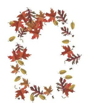 Autumn leaf frame Stock Photos