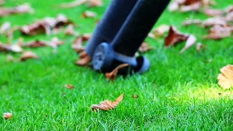 Autumn leaf garden clean Stock Footage 94258223